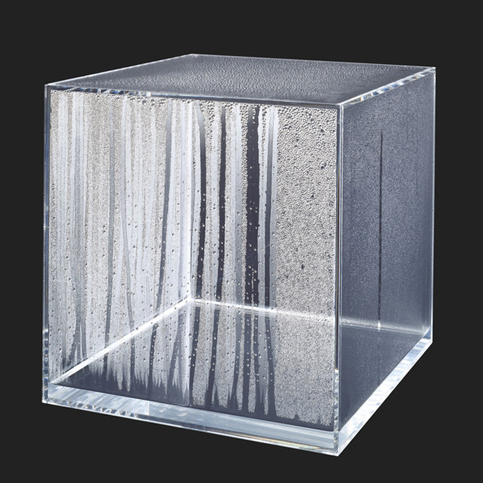 Hans Haacke,  Kondensationswürfel  (Condensation cube), 1963—1965. Clear acrylic glass, water, light, air currents, temperature, Generali Foundation Collection—Permanent Loan to the Museum der Moderne Salzburg. © Generali Foundation / Bildrecht, Vienna, 2019. Photo: Werner Kaligofsky 