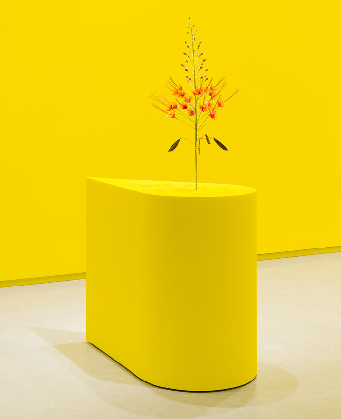 Kapwani Kiwanga, The Marias, 2020, vue d’installation, Remai Modern, Saskatoon, Canada, 2021. Prêt de la collection de l’IAC, France, © VG Bild-Kunst, Bonn 2023, Photo: Blaine Campbell 